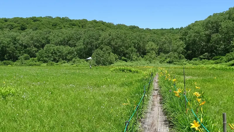 Tarudaki spring greenery