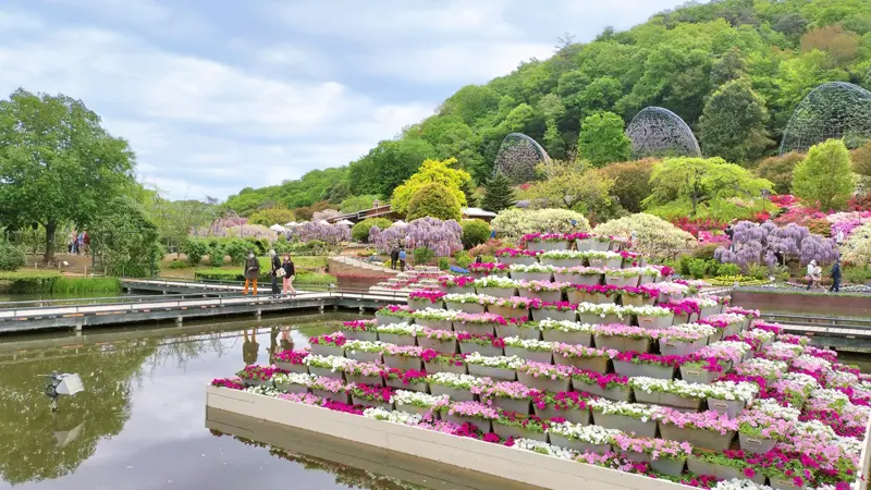 Seasonal flower display area
