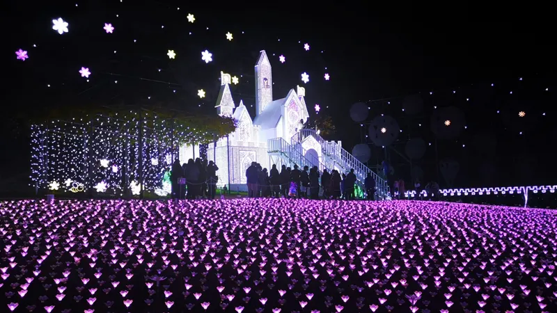 LED lights at illumination zone