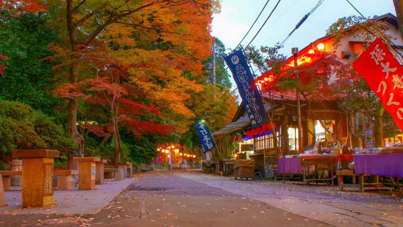 Soba shops along temple approach