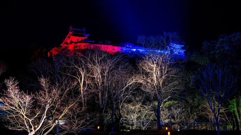 Wakayama Castle illuminated view