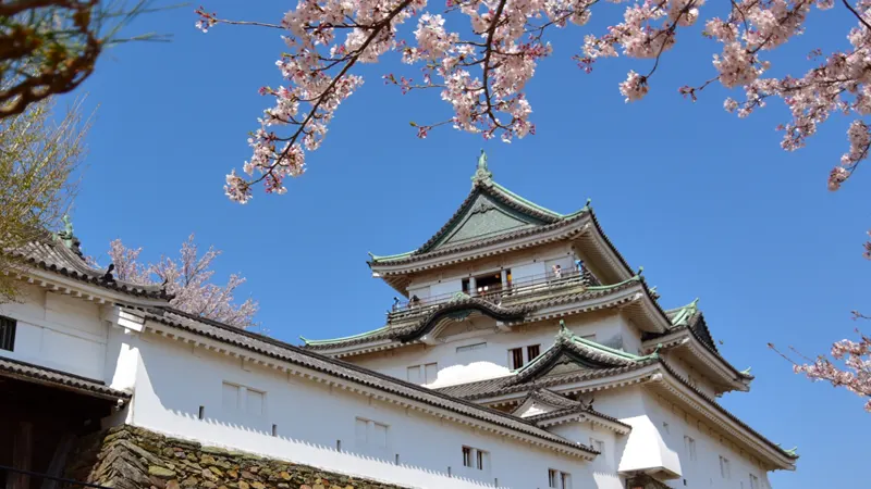 Wakayama Castle with cherry trees