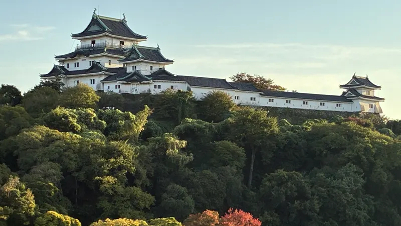 Wakayama Castle exterior view