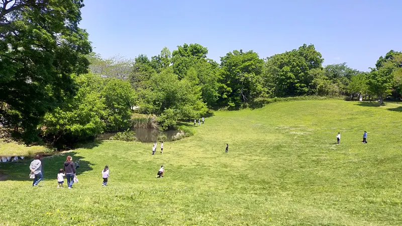 Manabi no Mori summer view