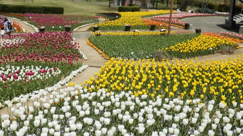 Flower Garden walking path
