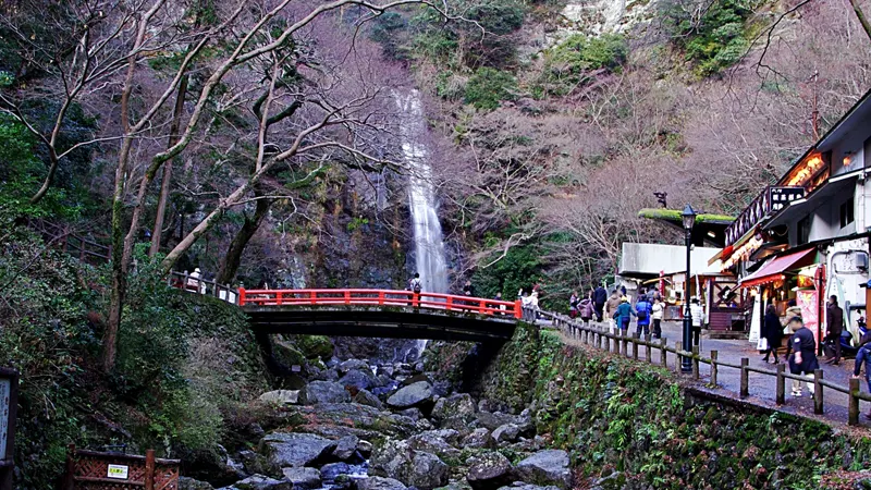 Minoh Waterfall in forest