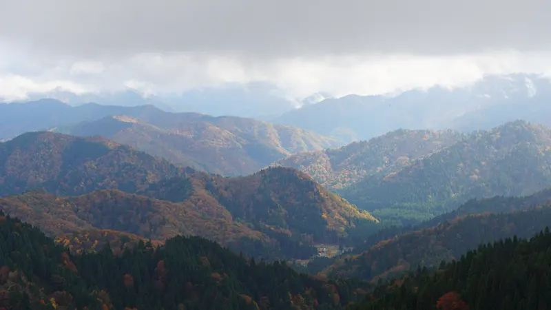 Onyudani autumn foliage on slopes