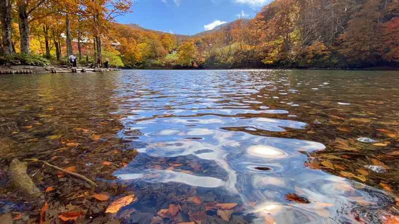 Dokkonuma lake surface with autumn leaves