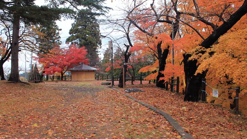 Autumn foliage in Yokote Park