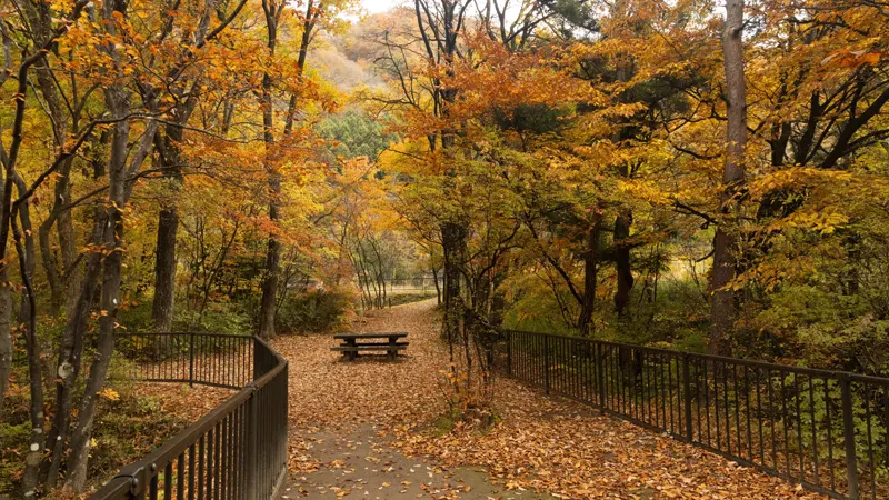 Sakunami Valley walking path