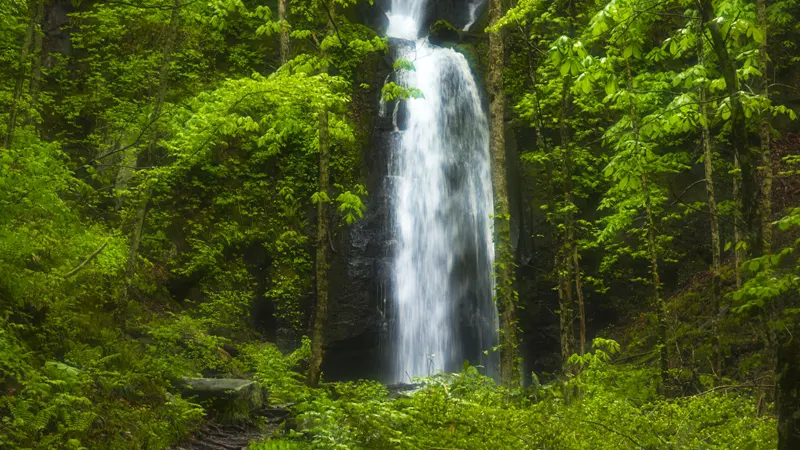 Kumoi Falls cascading water
