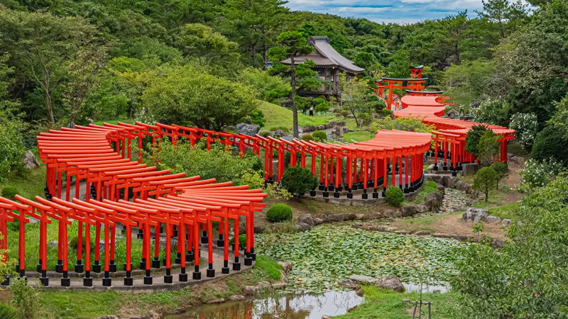 Approach path lined with torii