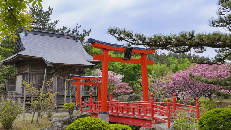 Takayama Inari Shrine with cherry trees