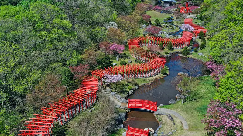 Torii path at hillside shrine