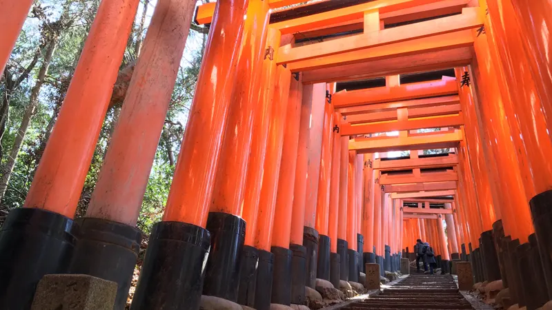 Torii gate pathway at Fushimi Inari Taisha