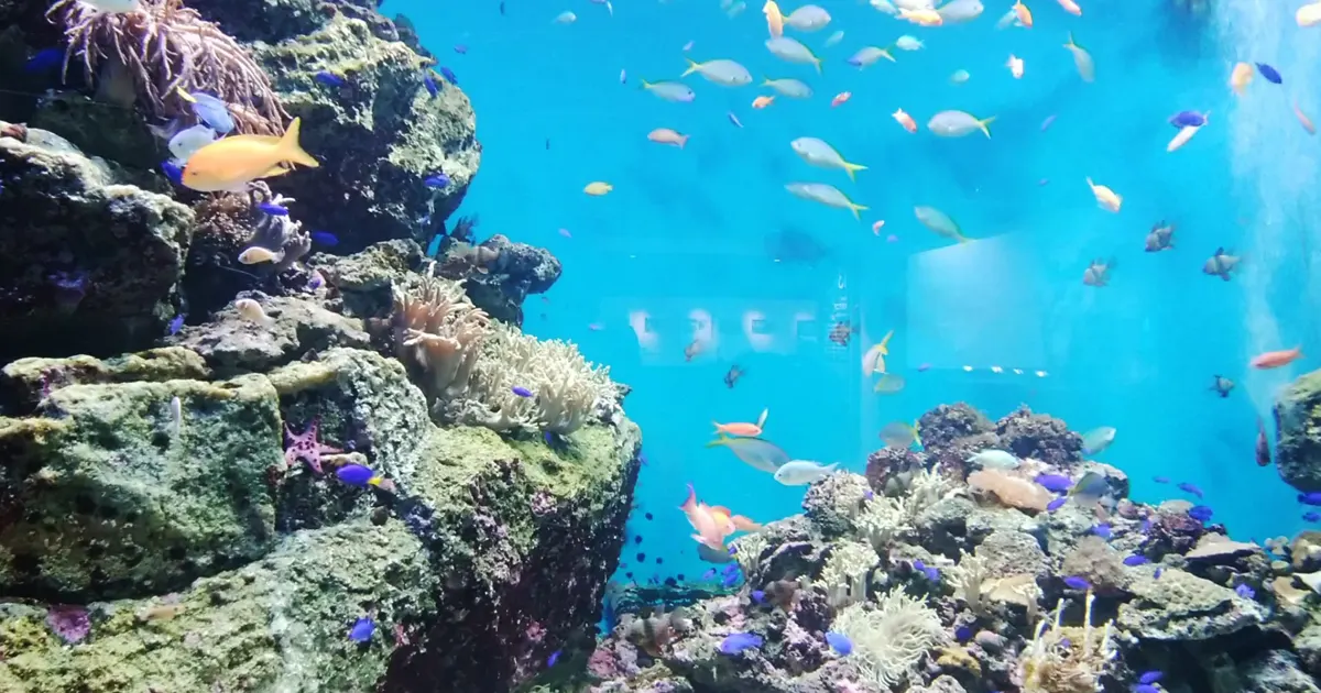 Sendai Umino-Mori Aquarium