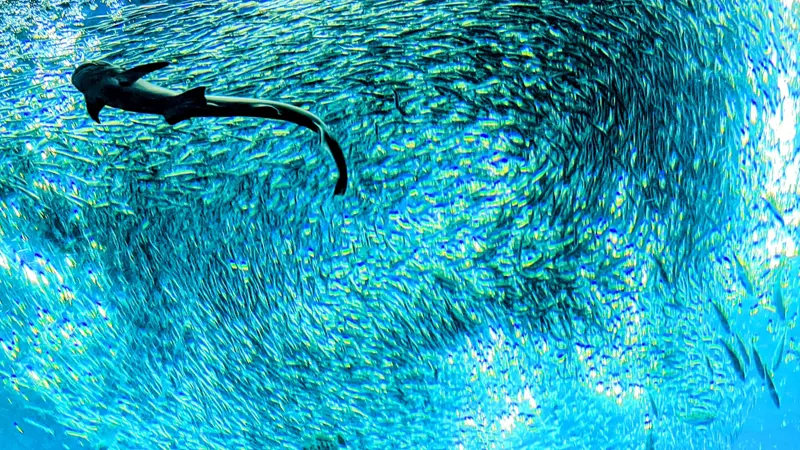 Looking up at large tank