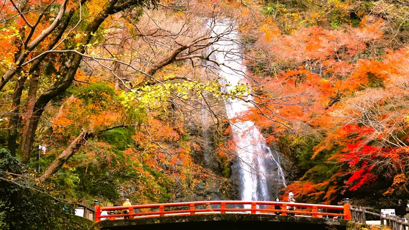 Minoh Waterfall foliage