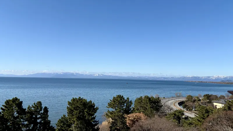 Ho Park Cherry Trees and Castle