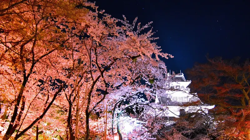 Nagahama Castle with Autumn Foliage