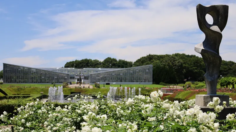 Jindai rose fountain