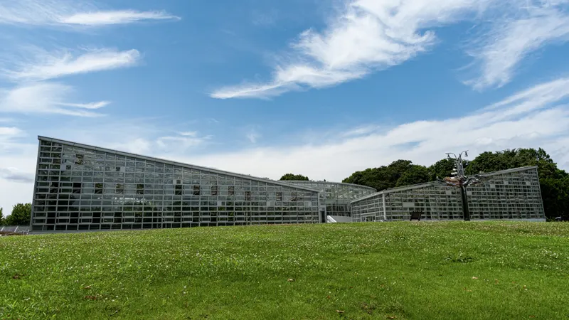 Jindai lawn greenhouse