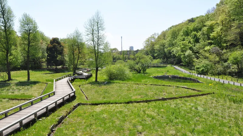 Jindai Botanical Gardens