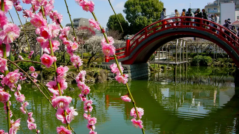Kameido Tenjinja arched bridge