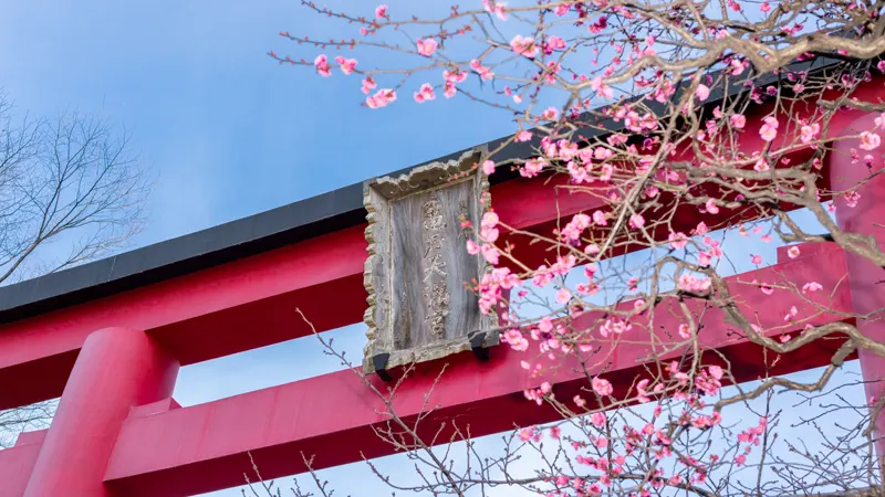 Kameido Tenjinja torii gate