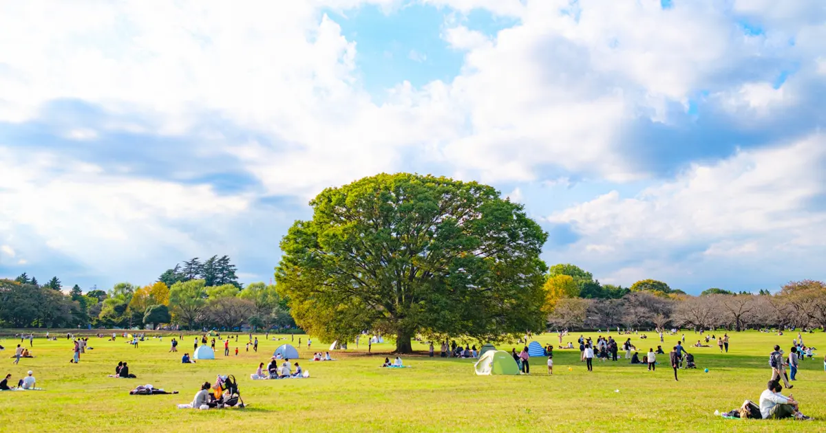 Showa Kinen Park