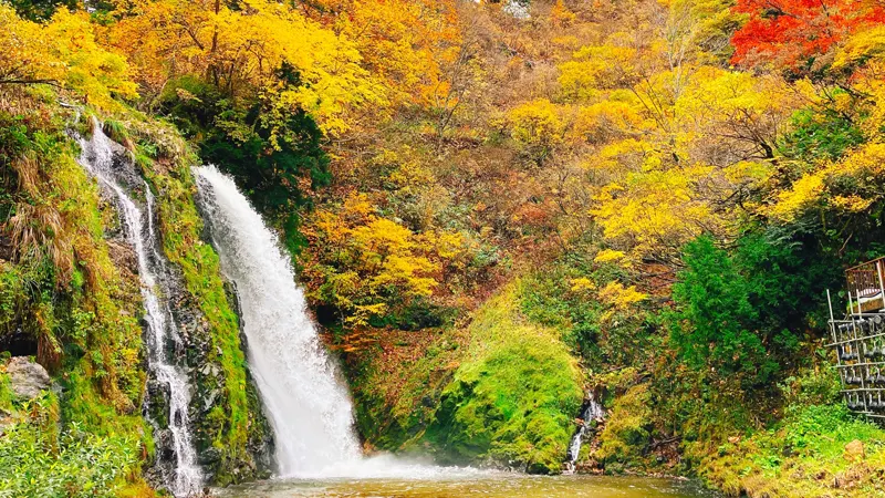 Shirogane Falls surrounded by nature