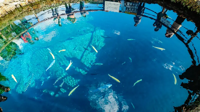 Yui-ike pond with clear water