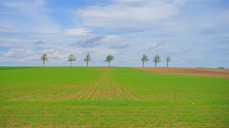 Larch-lined Meruhen Hill is also a noted spot