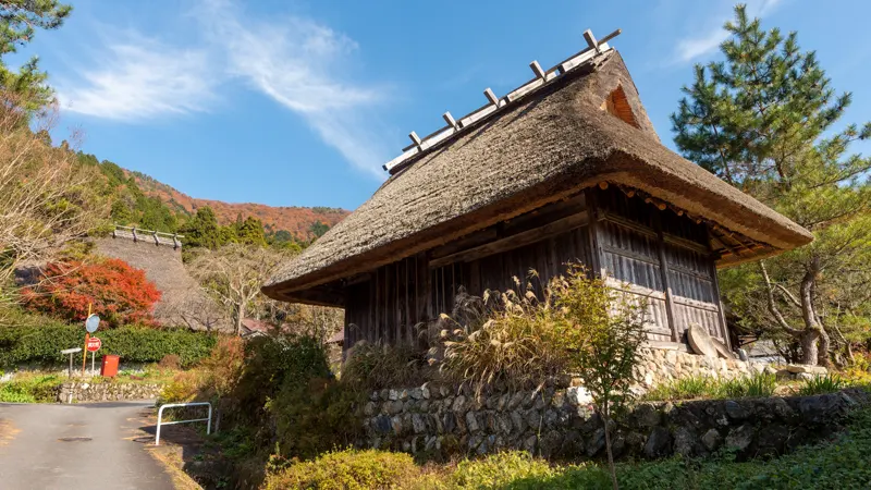 Miyama thatched roof houses