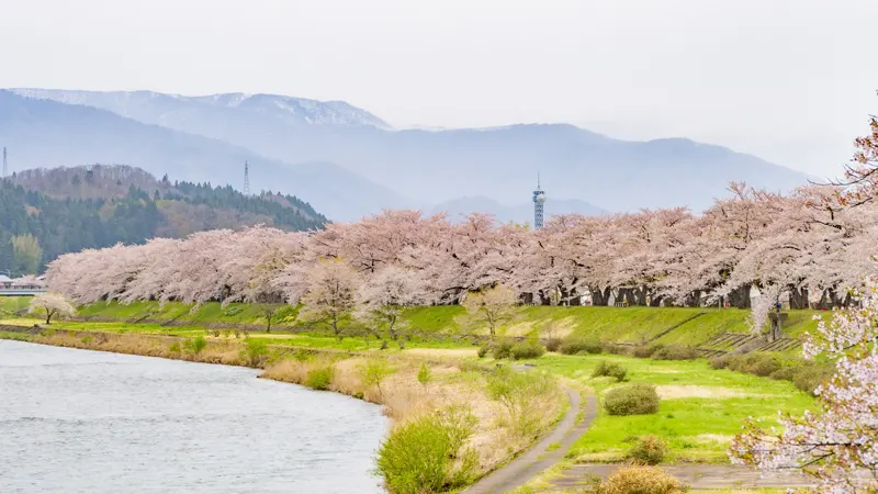 Hinokinai River embankment