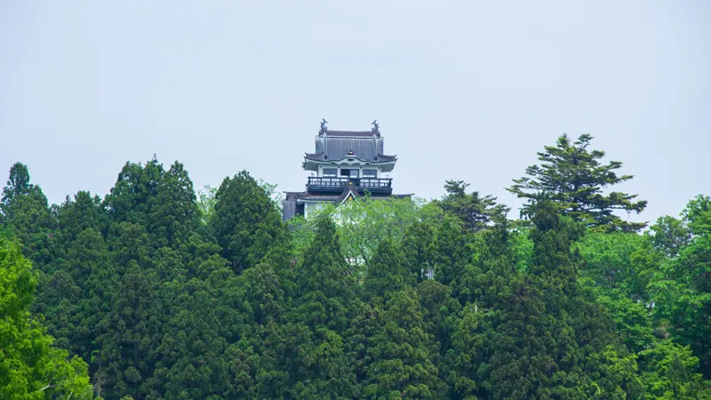Yokote Castle viewed from hillside