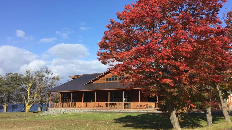 Lake Towada maple leaves
