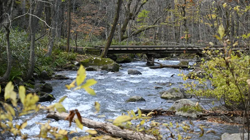 Oirase Gorge clear stream