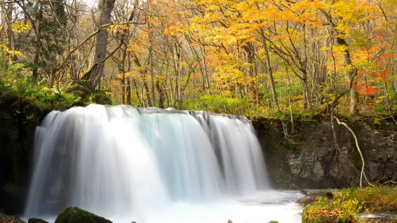 Autumn Oirase Gorge