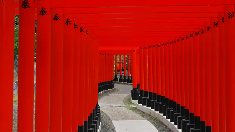 Senbon Torii hillside pathway