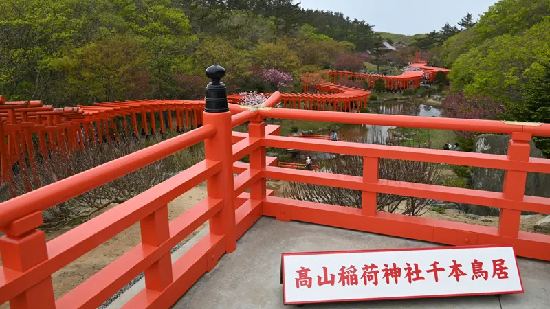 Senbon Torii viewing area