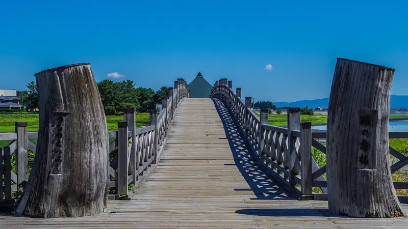 Wooden bridge pathway
