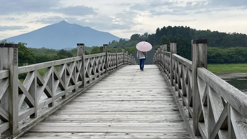 Wooden bridge pathway