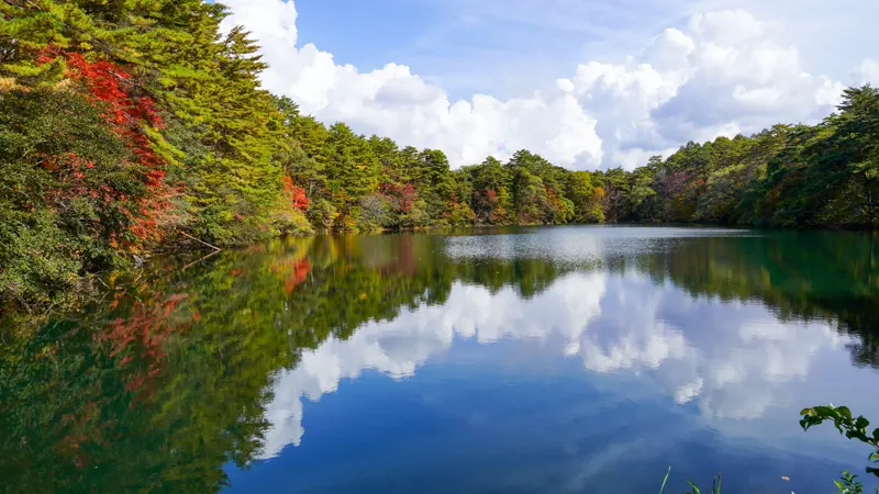 Urabandai forest and Goshikinuma water surface