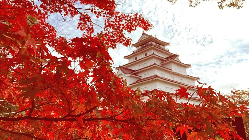 Autumn foliage Tsurugajo