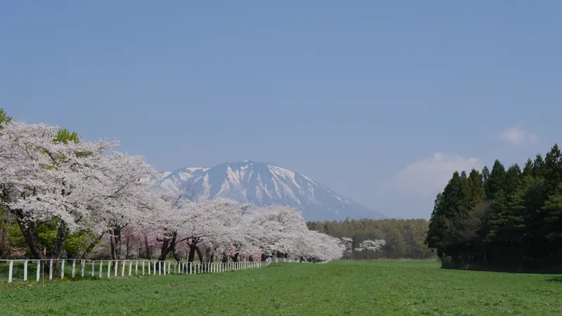 Mount Iwate from Makibaen
