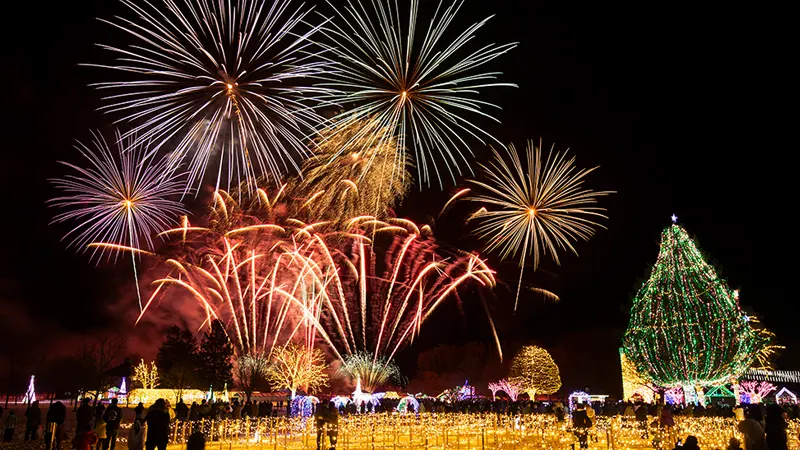 Koiwai Farm fireworks