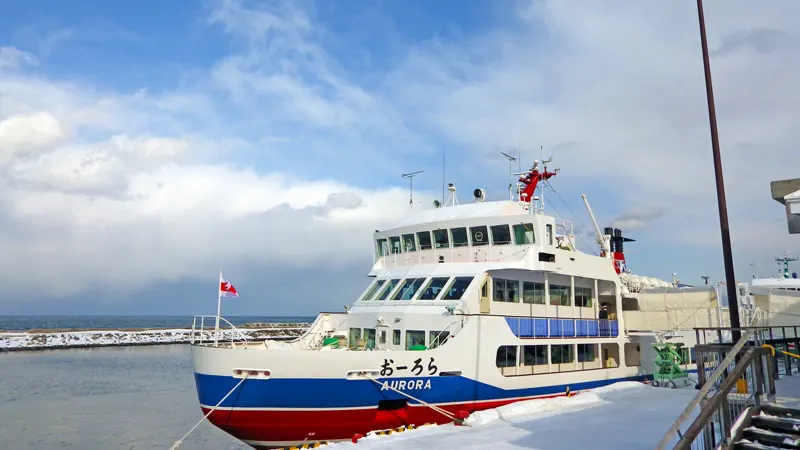 Aurora in drift ice