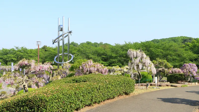Fuji no Saku Oka park grounds