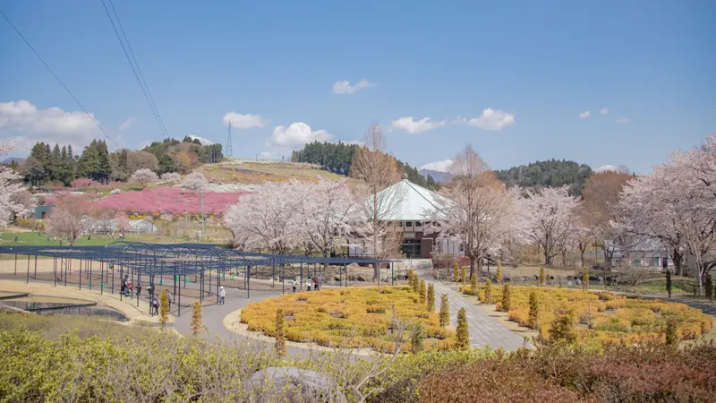 Nakanojo Gardens pathway